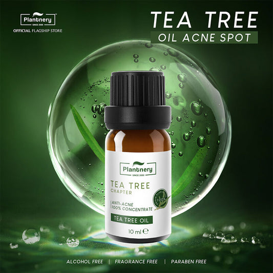 Plantnery Tea Tree Oil Concentrate 10ml