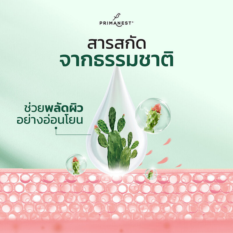 PRIMANEST Birdnest Luminis Anti-Melasma Cream 30g