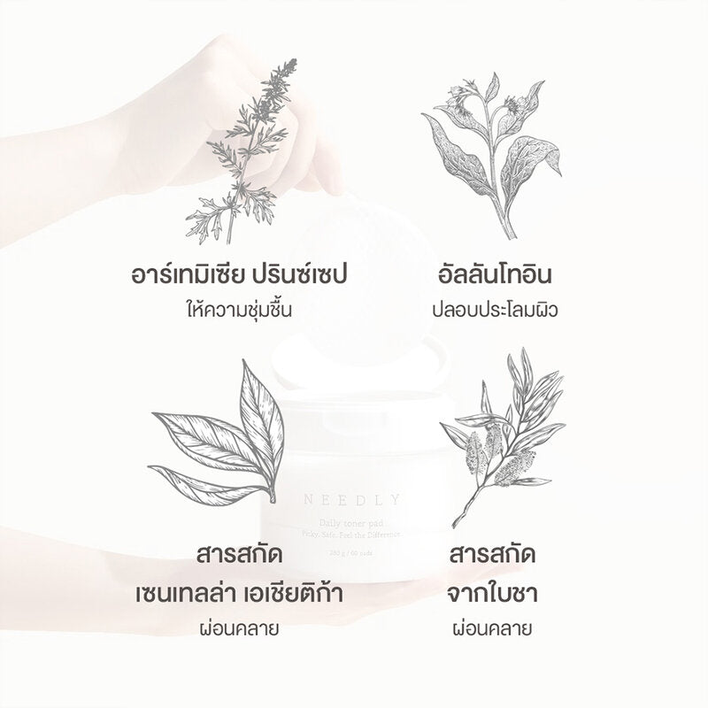 NEEDLY Daily Toner Pad 310g [80 Pads]