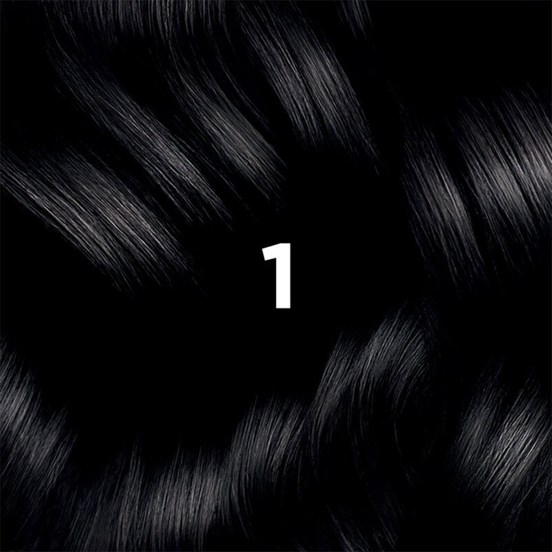 PHYTO Permanent Color Set #1 Black