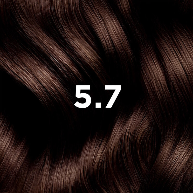 PHYTO Permanent Set #5.7 Light Chestnut Brown