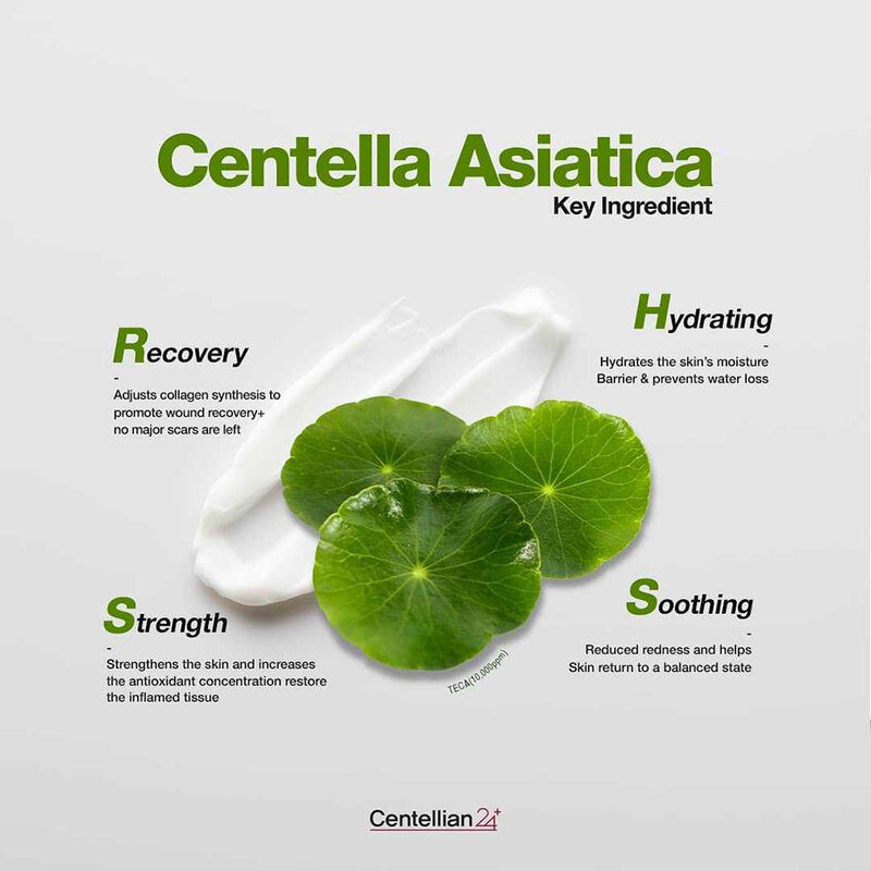 Centellian24 Madeca Cream Active Formula Facial Cream 50ml