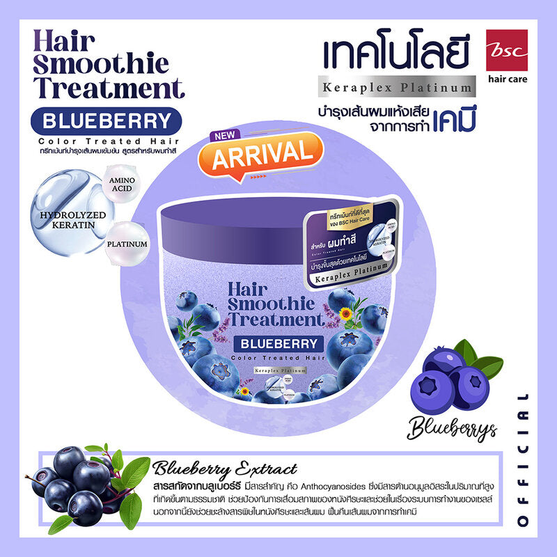 BSC Hair Care Hair Smoothie Treament Blueberry Hair Treatment 400g