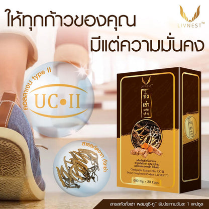 Livnest Cordyceps Plus Multivitamin B 30 Capsules