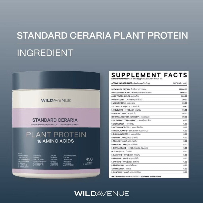 Wild Avenue Standard Ceraria Plant Protein 18 Amino Acids Purple Yam Flavored 450g