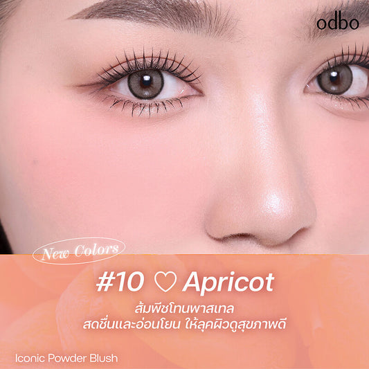 ODBO Iconic Powder Blush 4.2g #OD1325-10