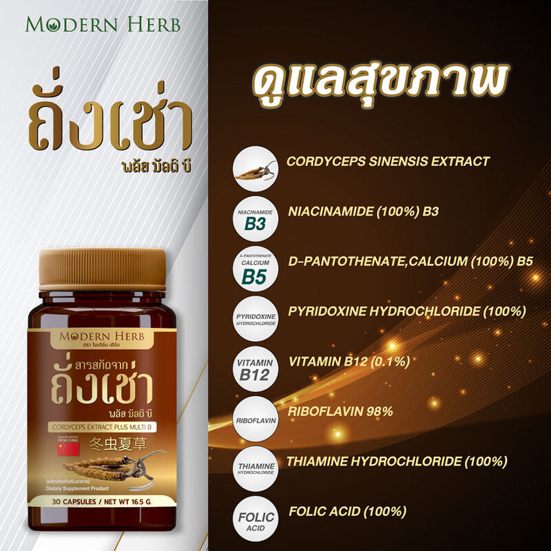 Modern Herb Cordyceps Extract Plus Multi B Dietary Supplement 30 Capsules