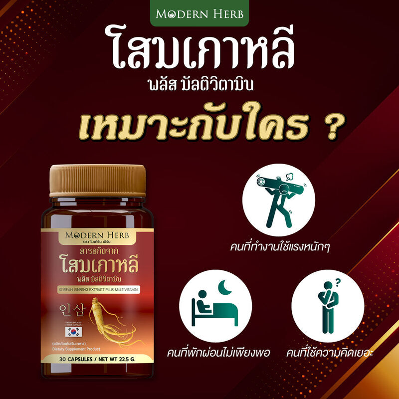 Modern Herb Korean Ginseng Extract Plus Multivitamin Dietary Supplement 30 Capsules