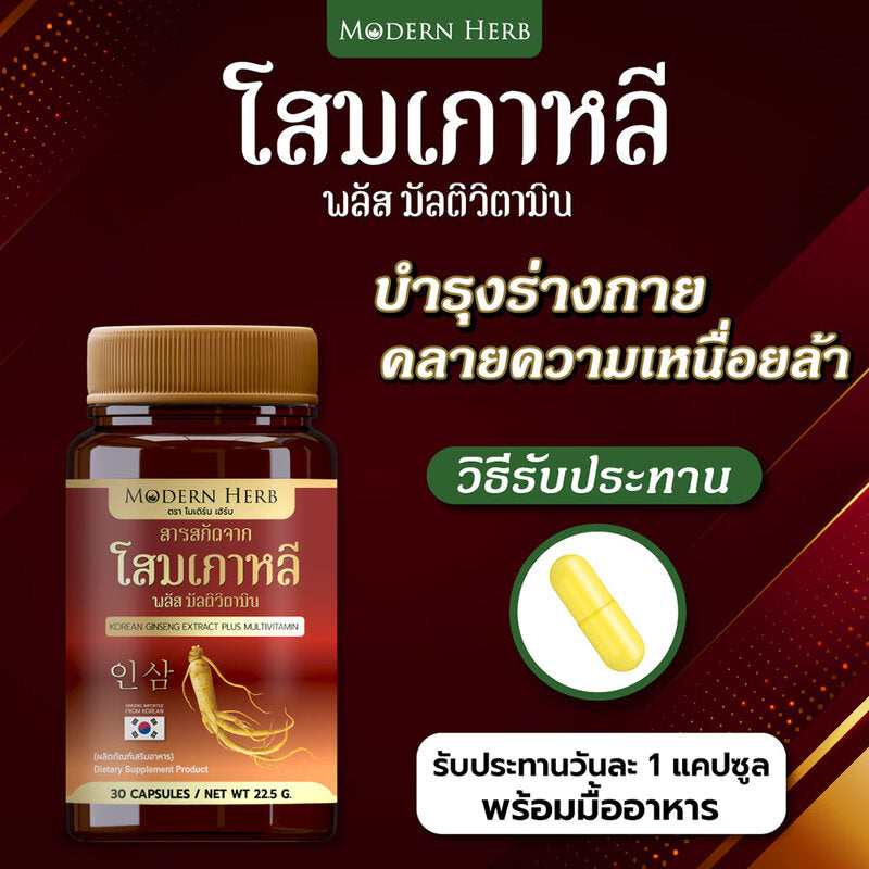 Modern Herb Korean Ginseng Extract Plus Multivitamin Dietary Supplement 30 Capsules