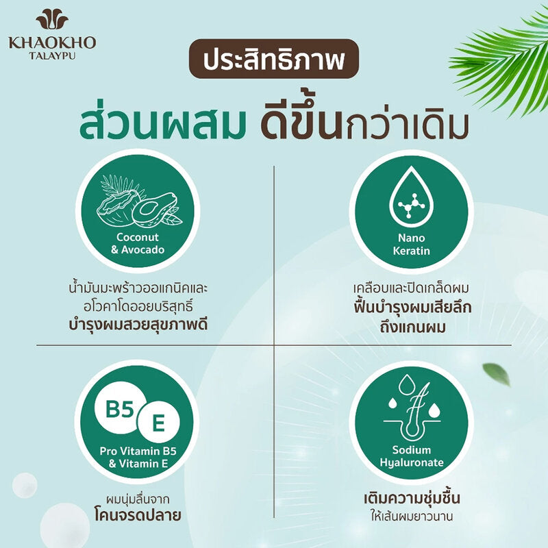 Khaokho Talaypu Coconut and Avocado Treatment 185ml