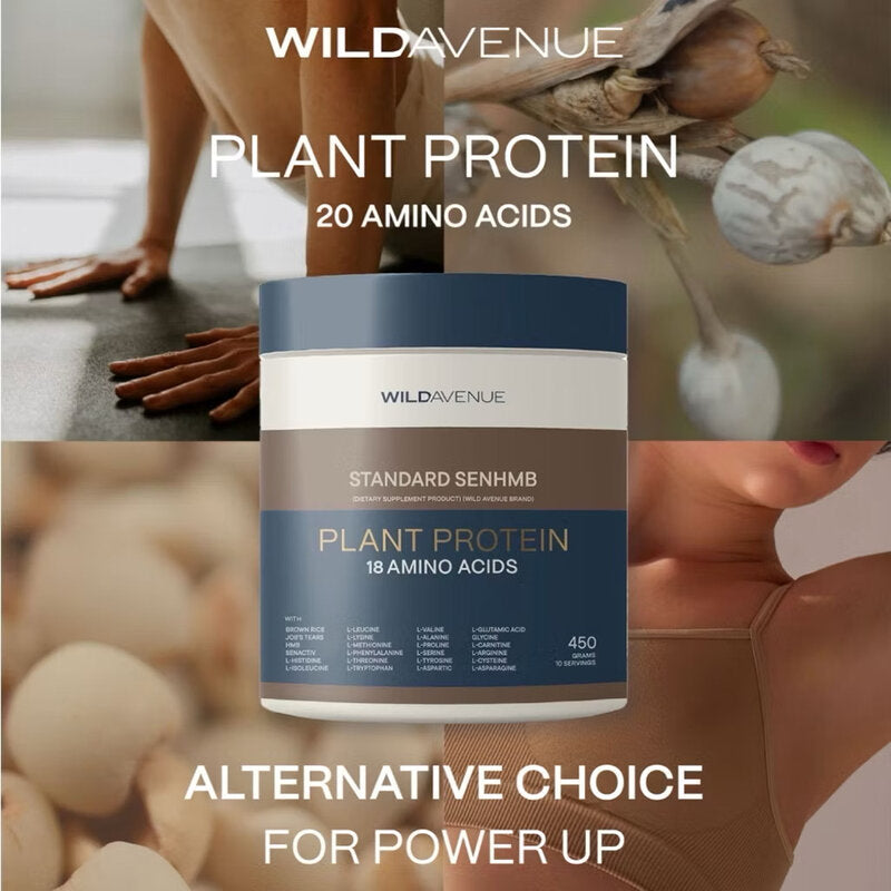 Wild Avenue Standard Senhmb Plant Protein 18 Amino Acids 450g x 3pcs