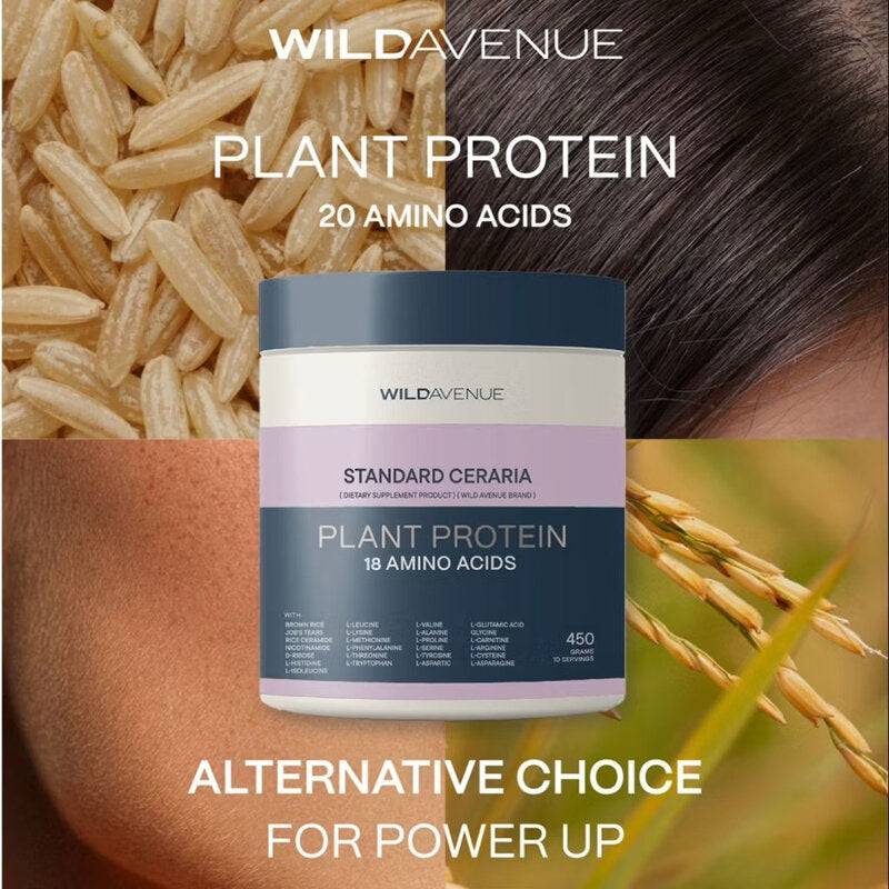 Wild Avenue Standard Ceraria Plant Protein 18 Amino Acids Sweet Potato Flavor 450g x 3pcs