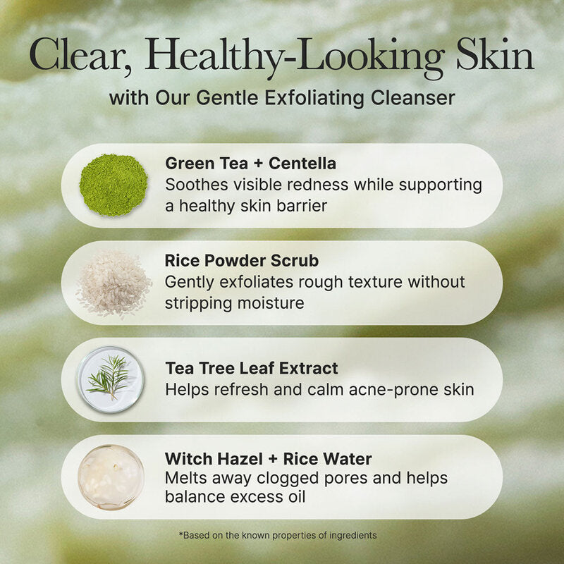 ARENCIA Fresh Green Rice Mochi Cleanser [120g x 2pcs]
