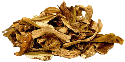 American European Dried Porcini Mushroom