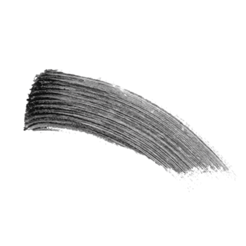 PLAY 101 Edge Curl Tint Mascara