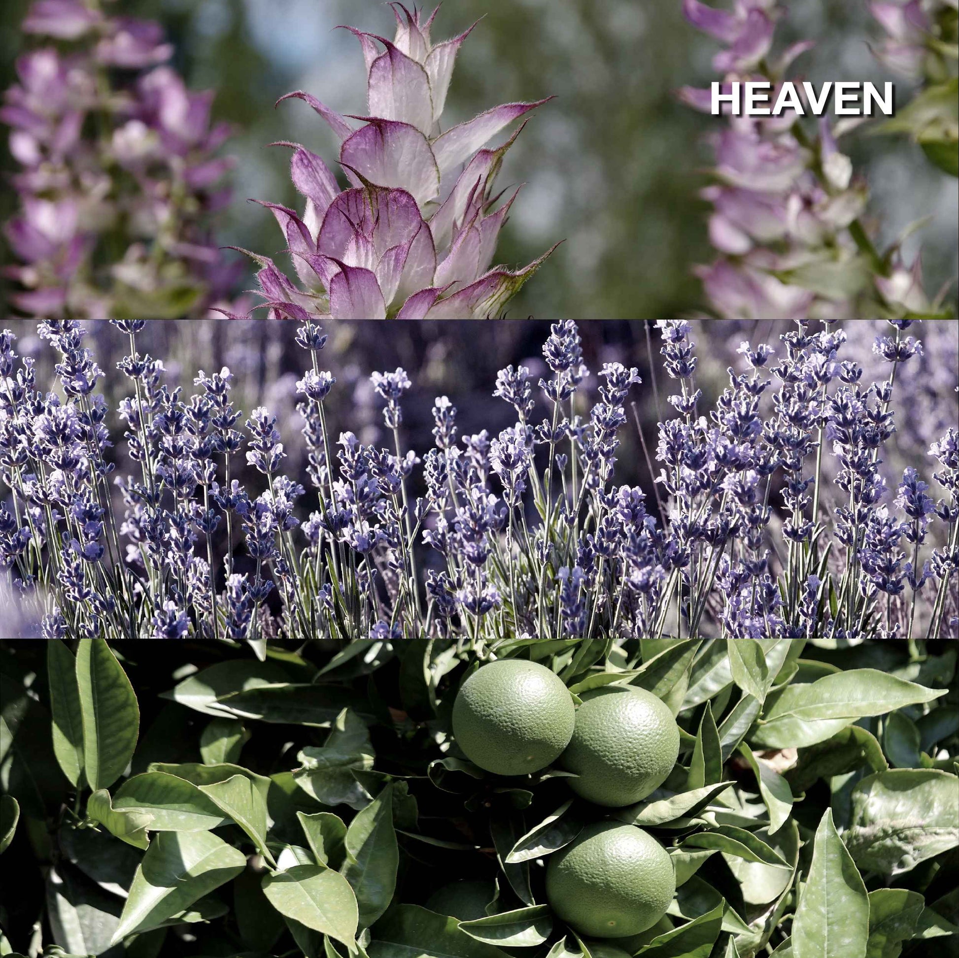 Karmakamet Aromatherapy Pure Essential Oil - Blended
