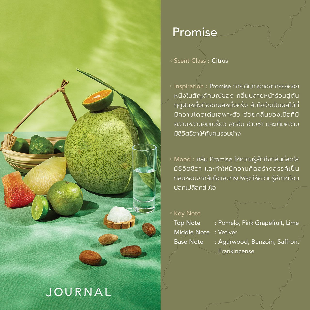 Journal Promise Reed Diffuser 100 ml.