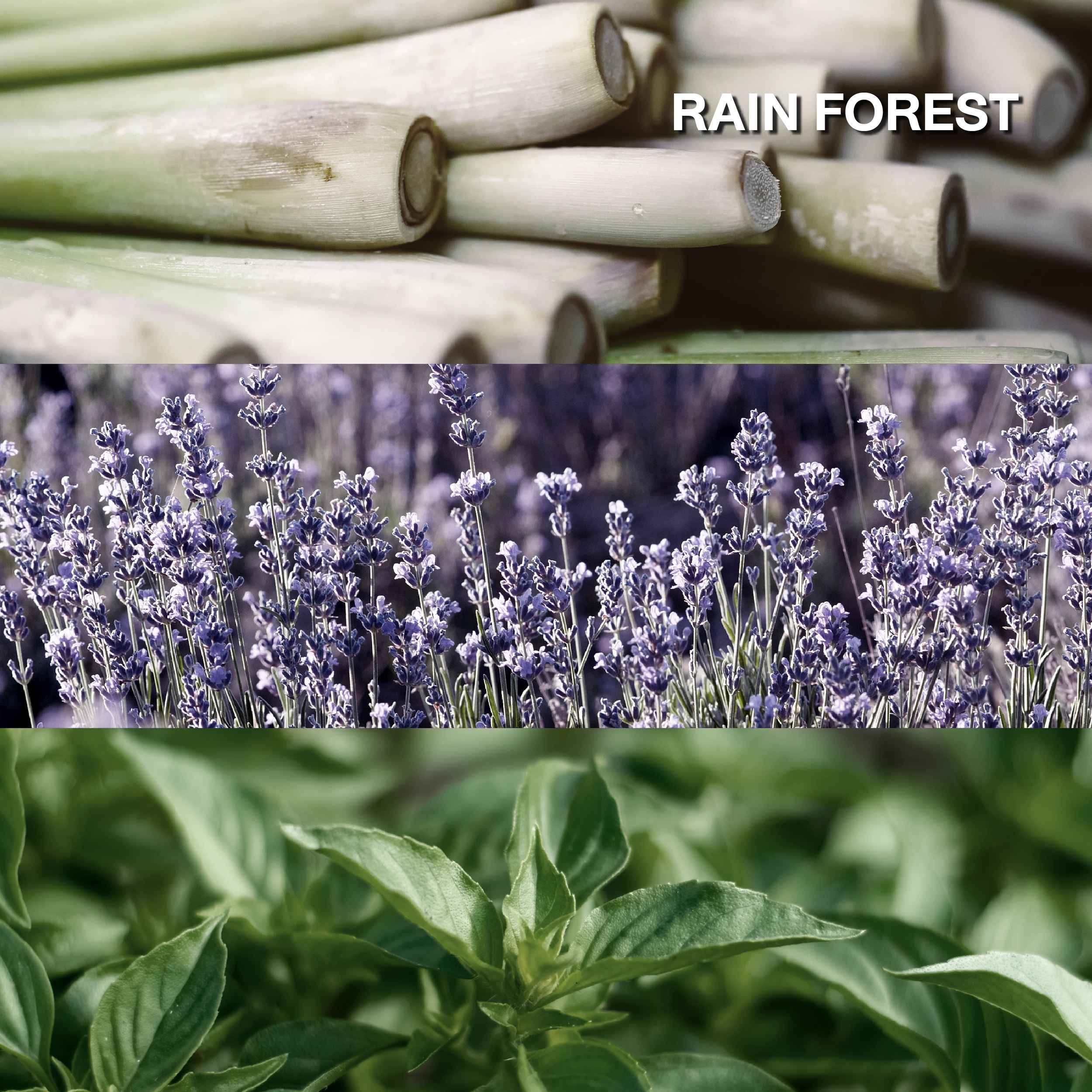 Karmakamet Aromatherapy Pure Essential Oil - Blended