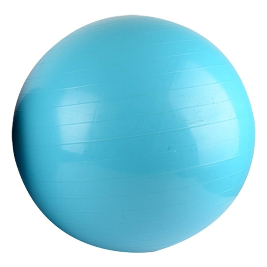 Watsons Anti-brust Gym Ball 65cm. with Pump
