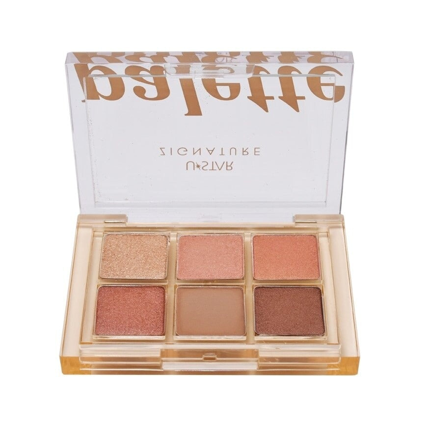 U-Star Zingature Maxx Cover Colorgram Palette 6g