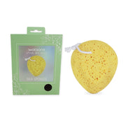 Watsons Sea Sponge2