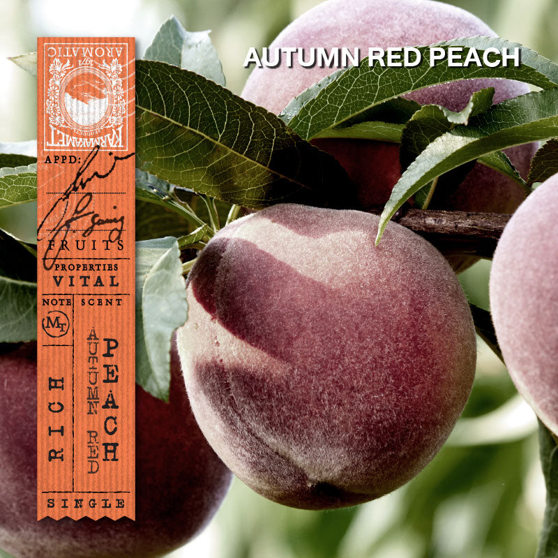Karmakamet Le Marche Aux Fruits Padang Bazaar Perfume Paper Bag