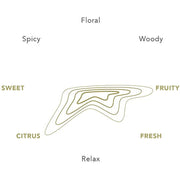 Journal Promise Reed Diffuser 100 ml.