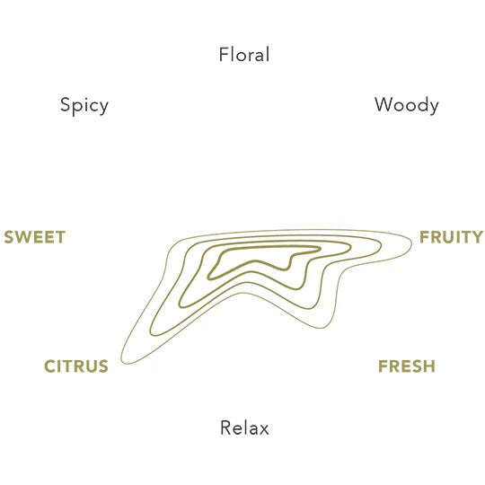 Journal Promise Reed Diffuser 100 ml.