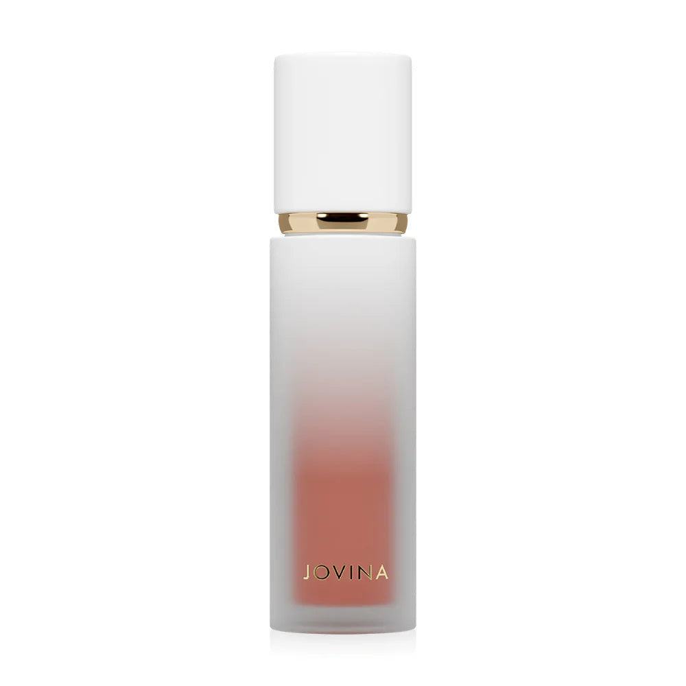 JOVINA Matte Moments Lip 2g #01 Model Night