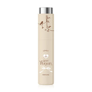 Love Potion Perfume - Woody Scent 10ml - Beauty Buddy