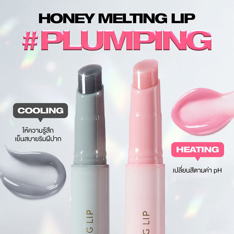 Nature Republic Honey Melting Lip 2.7g #12 Mood Plumping Lip Gloss