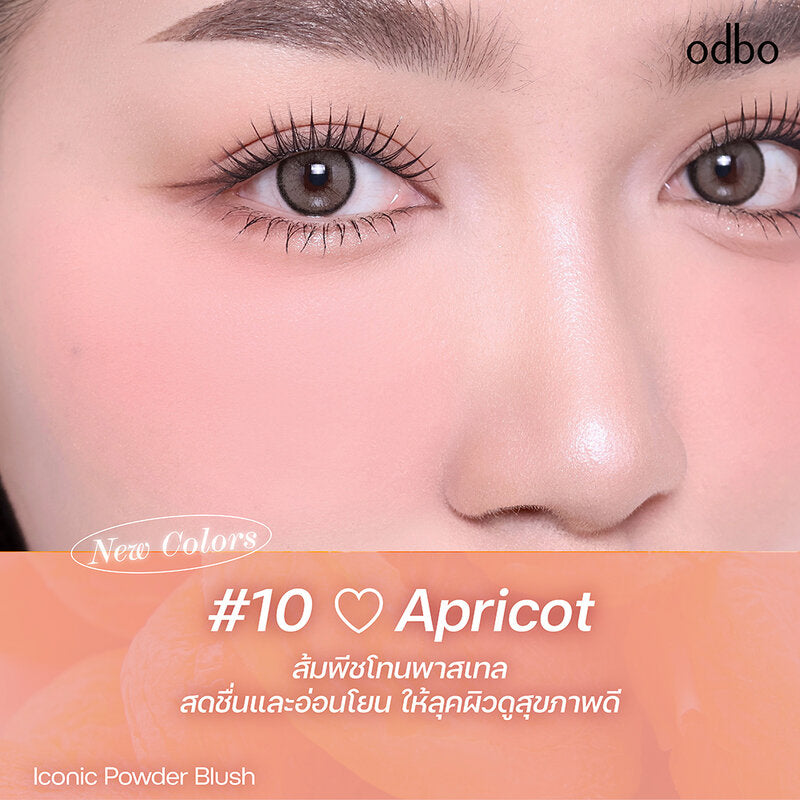 ODBO Iconic Powder Blush 4.2g #OD1325-10