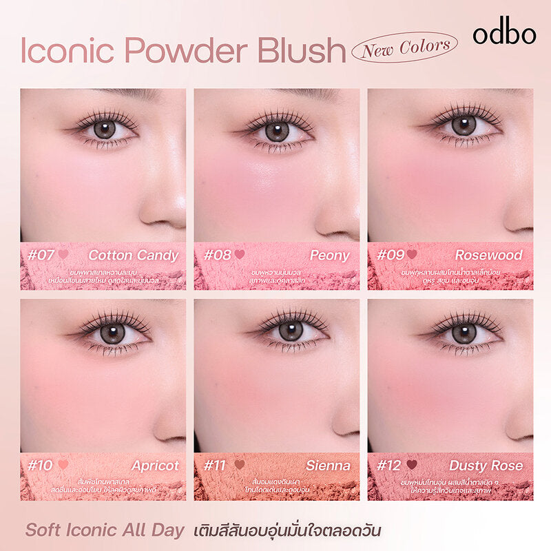 ODBO Iconic Powder Blush 4.2g #OD1325-11