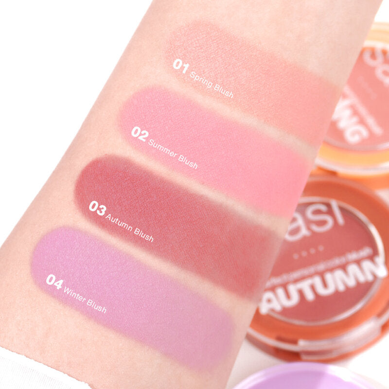 SASI Blush - Perfect Personal Color #04 Winter Blush - Beauty Buddy
